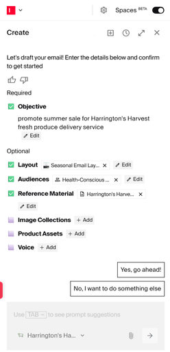 providing additional inputs to Email Agent