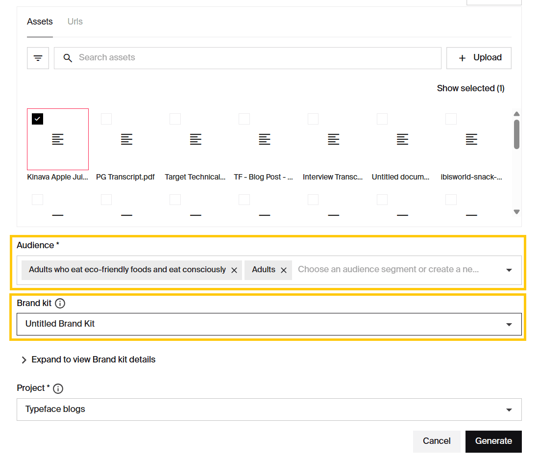 specifying audience and brand guidelines for multichannel marketing campaign